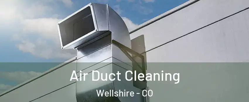 Air Duct Cleaning Wellshire - CO