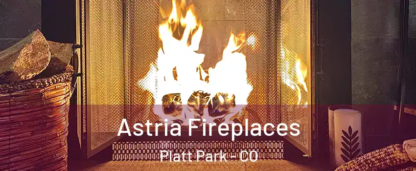 Astria Fireplaces Platt Park - CO