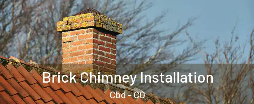 Brick Chimney Installation Cbd - CO