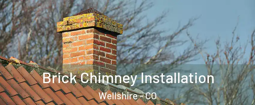 Brick Chimney Installation Wellshire - CO