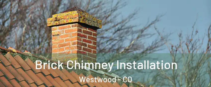 Brick Chimney Installation Westwood - CO