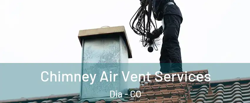 Chimney Air Vent Services Dia - CO