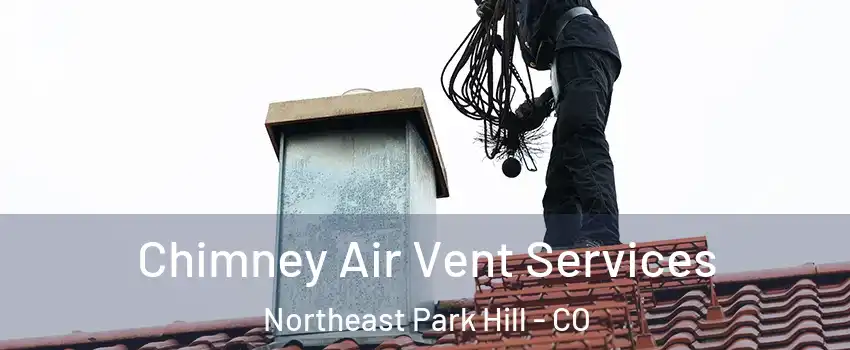 Chimney Air Vent Services Northeast Park Hill - CO