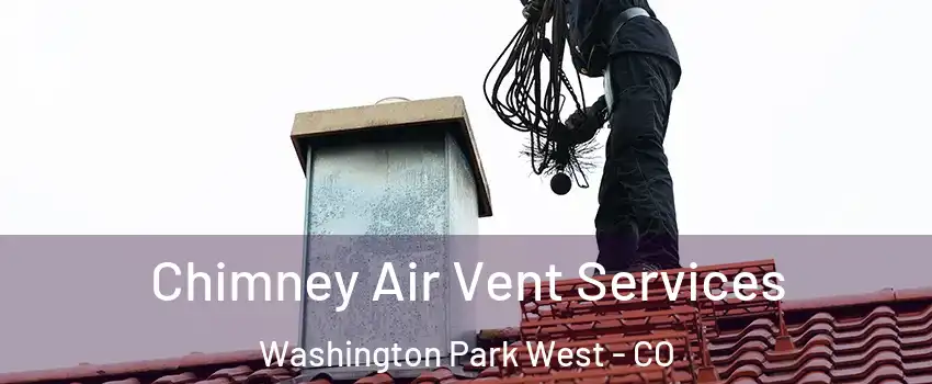 Chimney Air Vent Services Washington Park West - CO