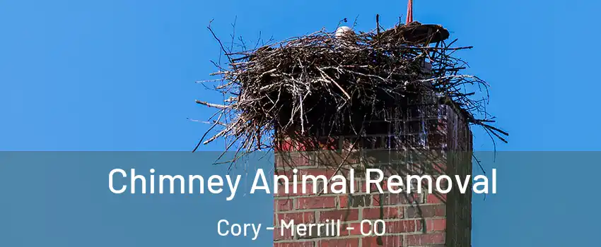 Chimney Animal Removal Cory - Merrill - CO