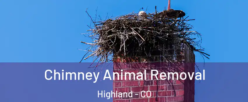 Chimney Animal Removal Highland - CO