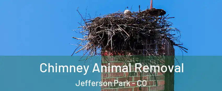 Chimney Animal Removal Jefferson Park - CO