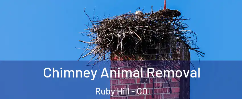 Chimney Animal Removal Ruby Hill - CO