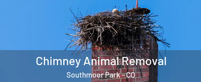 Chimney Animal Removal Southmoor Park - CO