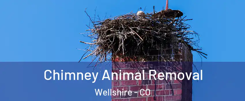 Chimney Animal Removal Wellshire - CO