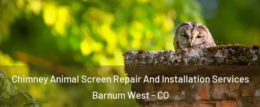 Chimney Animal Screen Repair And Installation Services Barnum West - CO