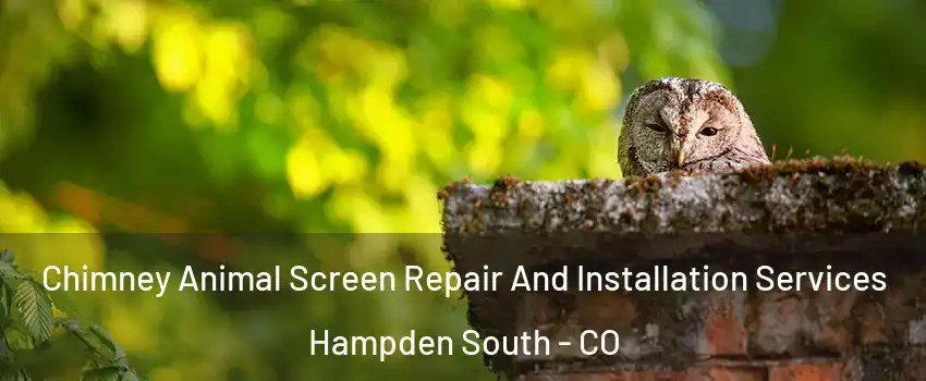 Chimney Animal Screen Repair And Installation Services Hampden South - CO