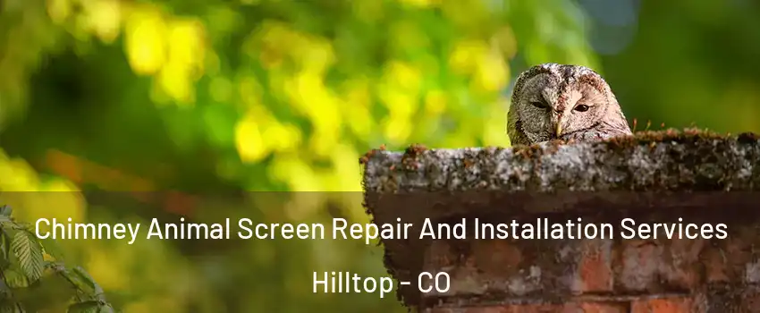 Chimney Animal Screen Repair And Installation Services Hilltop - CO