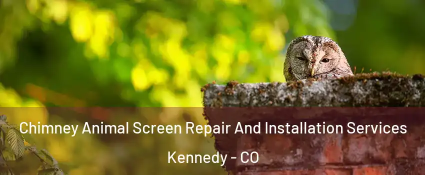 Chimney Animal Screen Repair And Installation Services Kennedy - CO