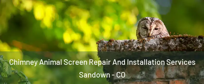 Chimney Animal Screen Repair And Installation Services Sandown - CO