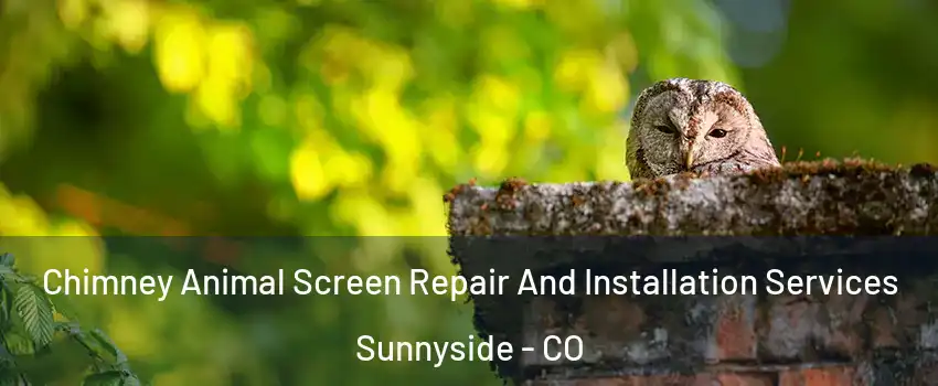 Chimney Animal Screen Repair And Installation Services Sunnyside - CO