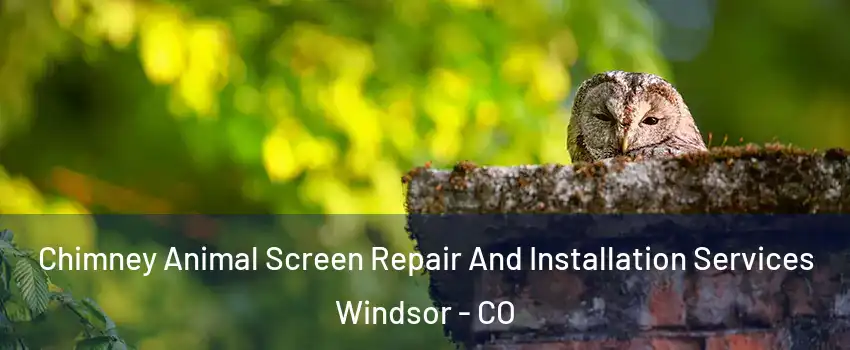 Chimney Animal Screen Repair And Installation Services Windsor - CO