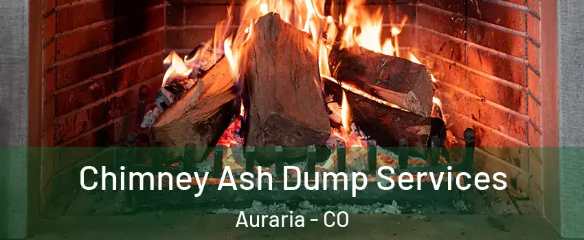 Chimney Ash Dump Services Auraria - CO