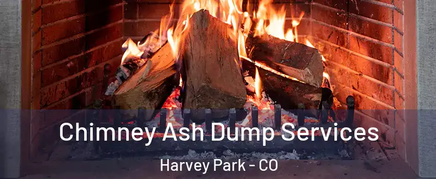 Chimney Ash Dump Services Harvey Park - CO