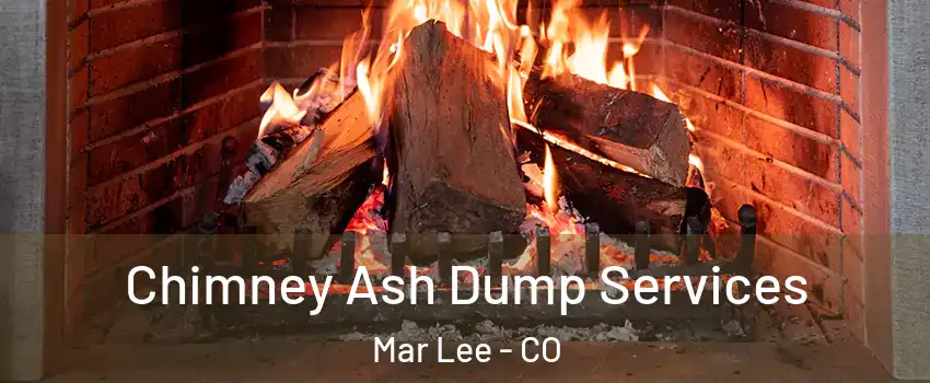 Chimney Ash Dump Services Mar Lee - CO