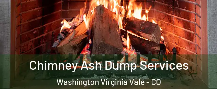 Chimney Ash Dump Services Washington Virginia Vale - CO