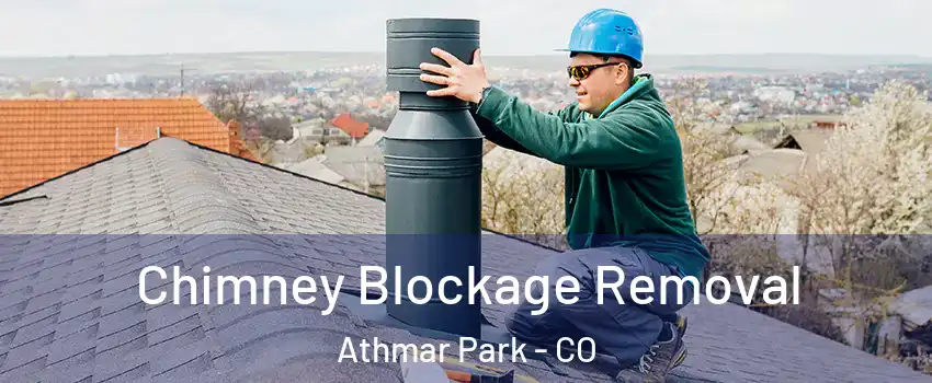 Chimney Blockage Removal Athmar Park - CO