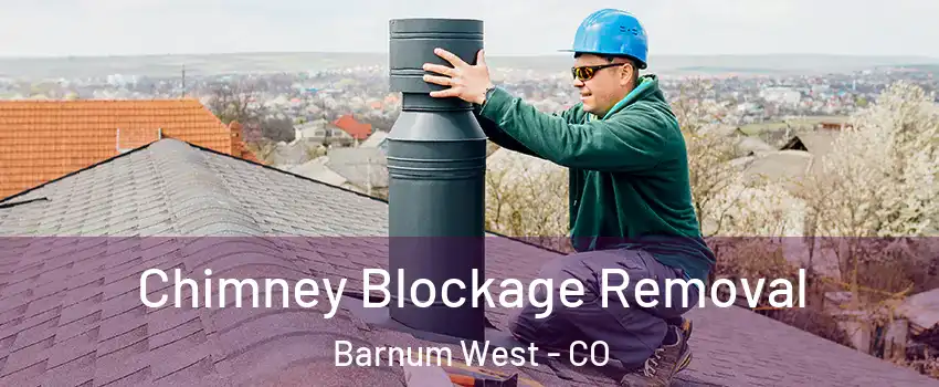 Chimney Blockage Removal Barnum West - CO