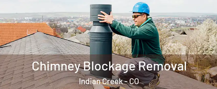 Chimney Blockage Removal Indian Creek - CO