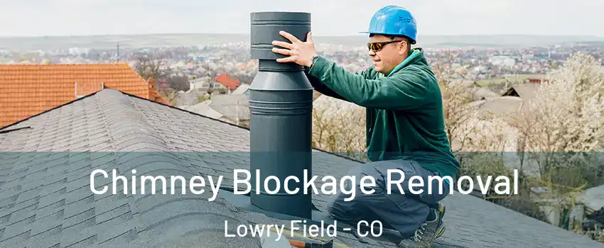 Chimney Blockage Removal Lowry Field - CO