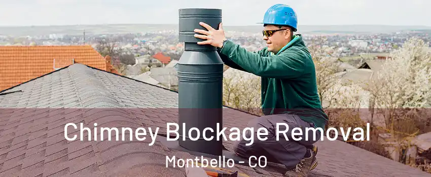 Chimney Blockage Removal Montbello - CO