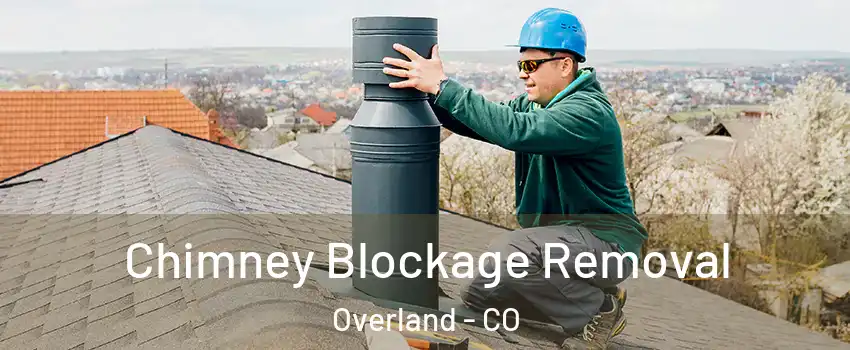 Chimney Blockage Removal Overland - CO