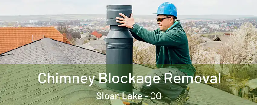 Chimney Blockage Removal Sloan Lake - CO