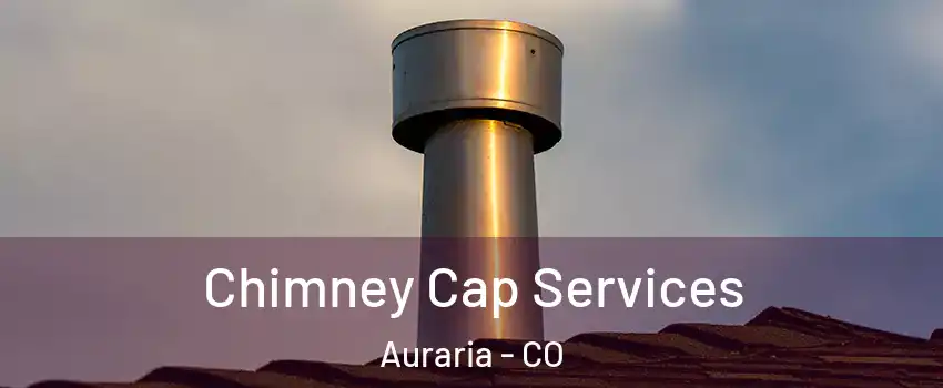 Chimney Cap Services Auraria - CO