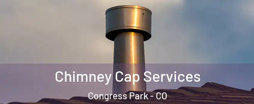 Chimney Cap Services Congress Park - CO