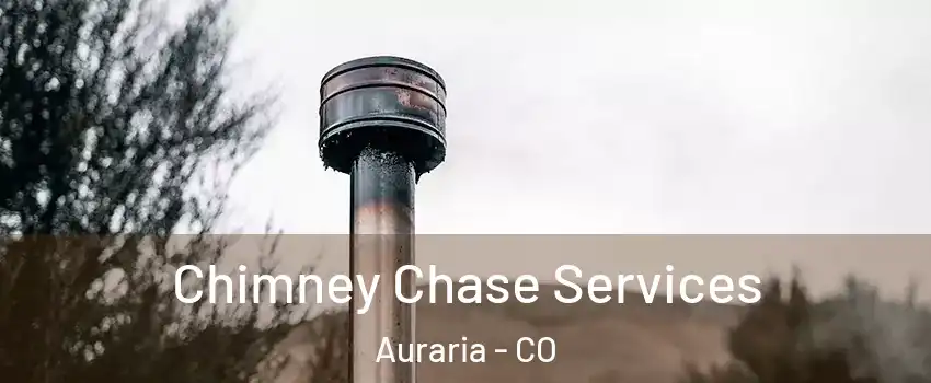 Chimney Chase Services Auraria - CO