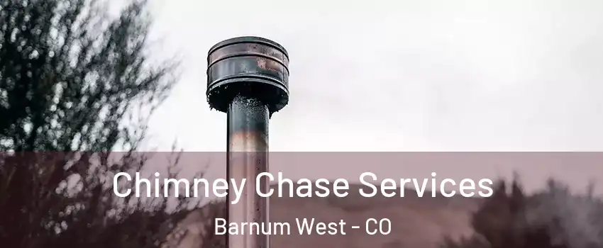 Chimney Chase Services Barnum West - CO