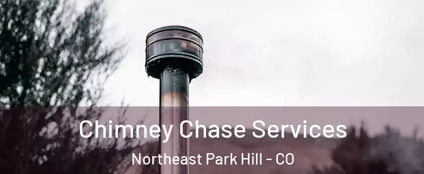 Chimney Chase Services Northeast Park Hill - CO