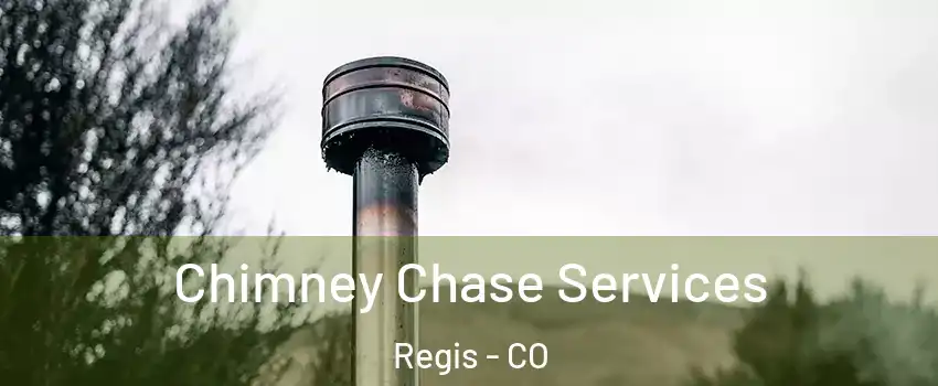 Chimney Chase Services Regis - CO