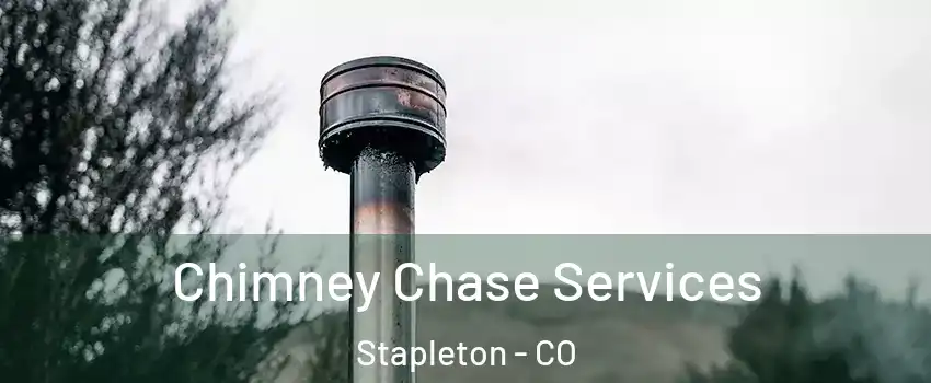 Chimney Chase Services Stapleton - CO