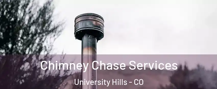 Chimney Chase Services University Hills - CO