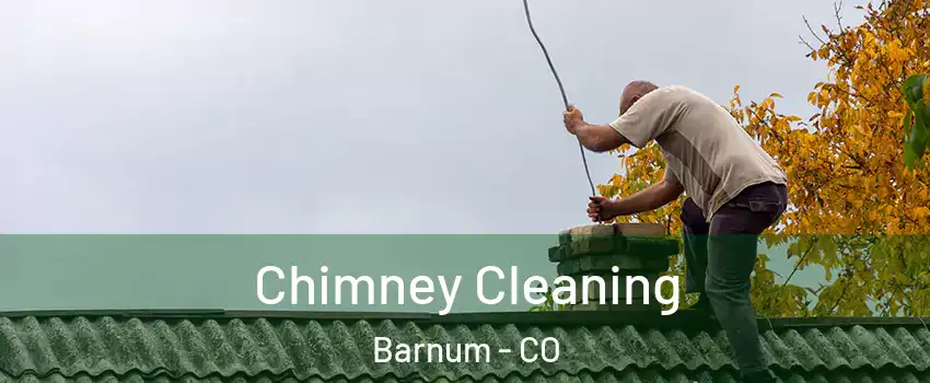 Chimney Cleaning Barnum - CO