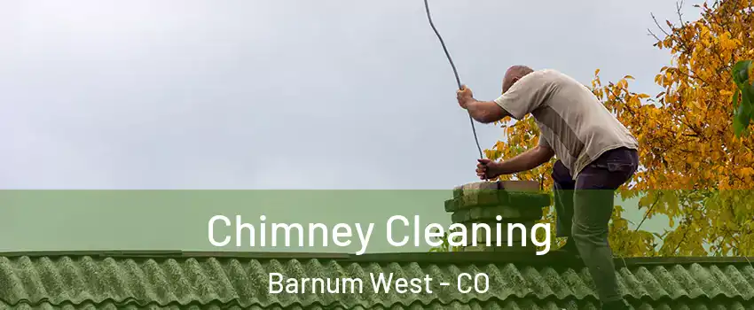 Chimney Cleaning Barnum West - CO