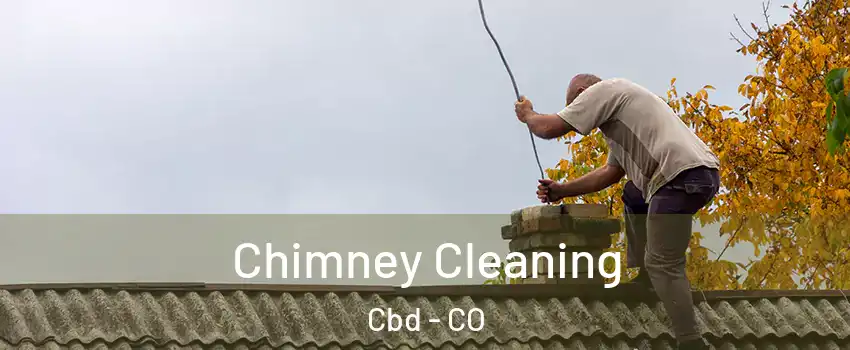 Chimney Cleaning Cbd - CO