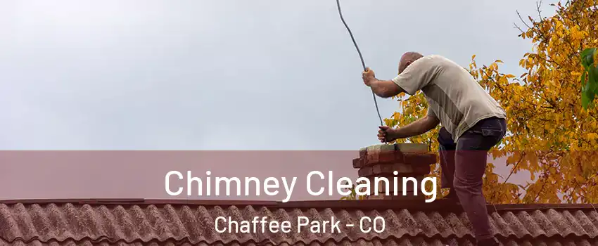 Chimney Cleaning Chaffee Park - CO