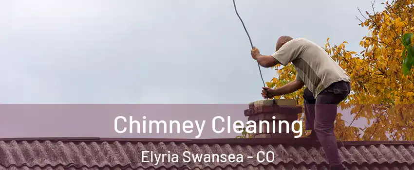 Chimney Cleaning Elyria Swansea - CO