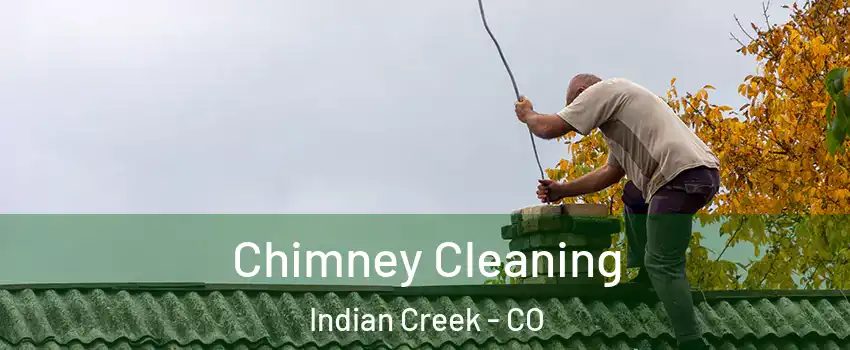 Chimney Cleaning Indian Creek - CO