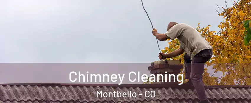 Chimney Cleaning Montbello - CO