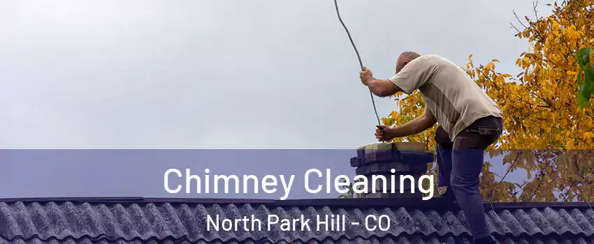 Chimney Cleaning North Park Hill - CO