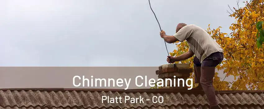 Chimney Cleaning Platt Park - CO