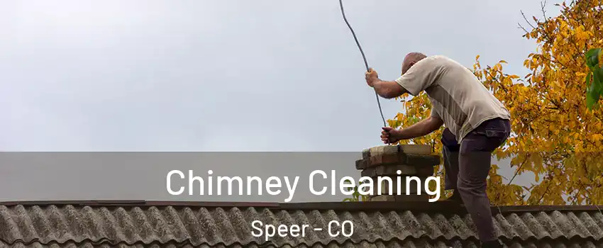 Chimney Cleaning Speer - CO